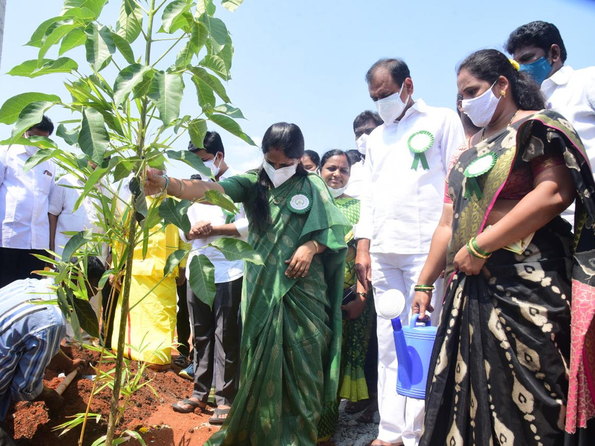 World Environment Day  - Sakshi6