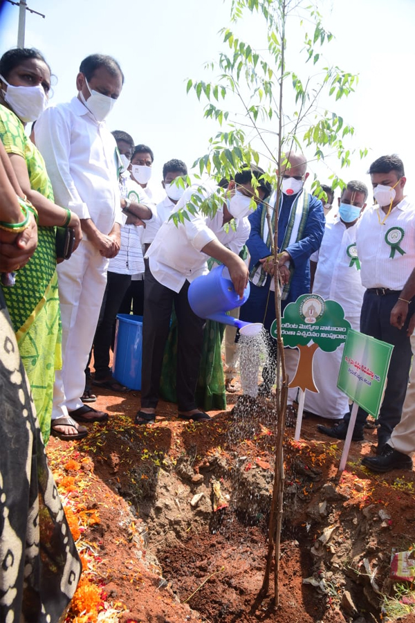 World Environment Day  - Sakshi12