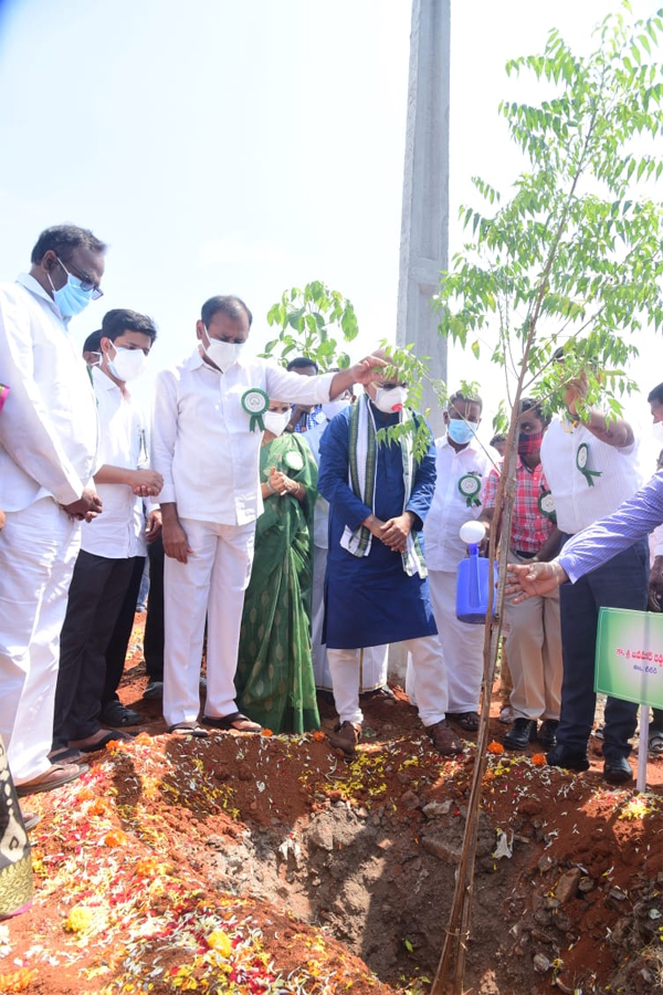 World Environment Day  - Sakshi15