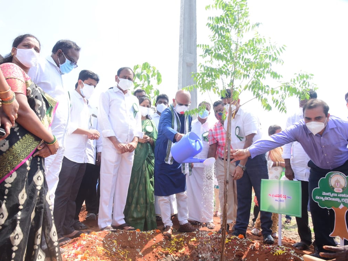 World Environment Day  - Sakshi2