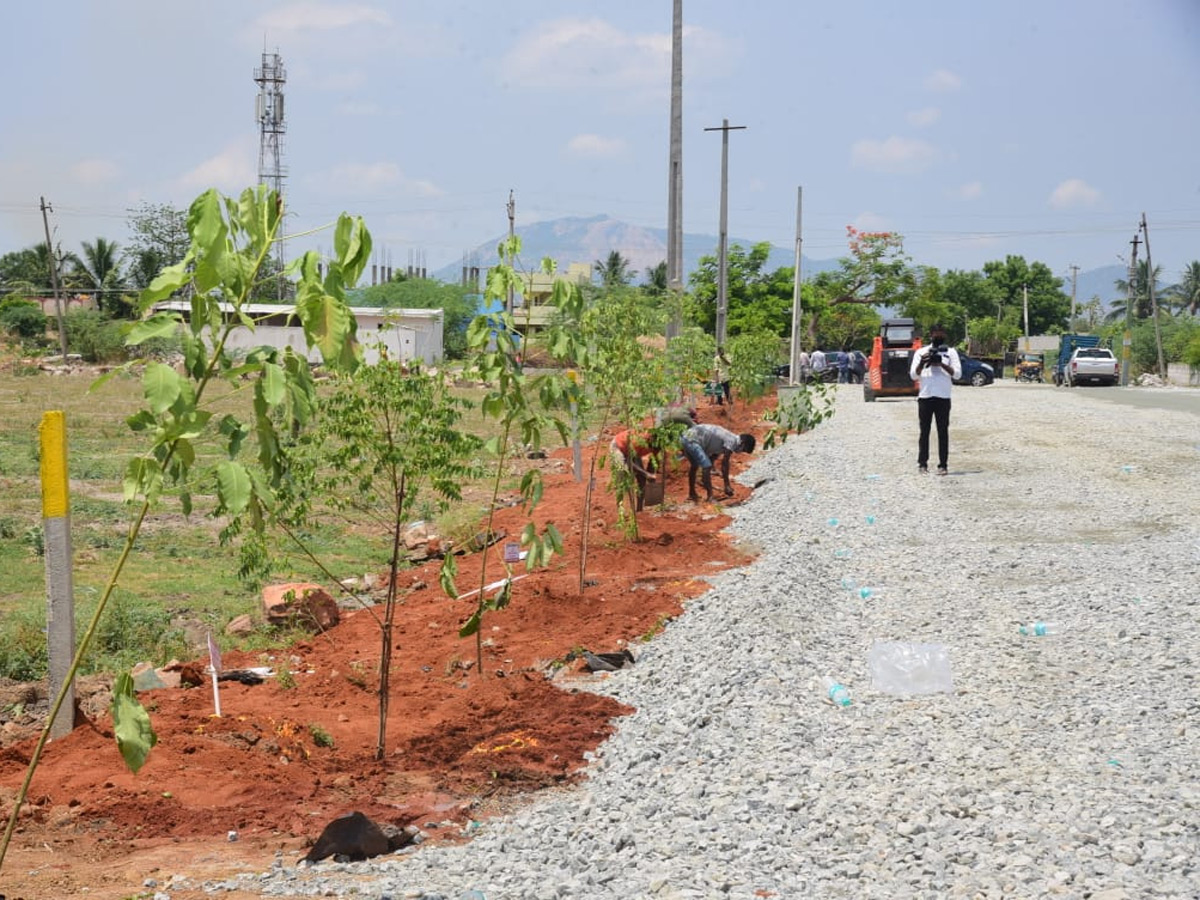 World Environment Day  - Sakshi7