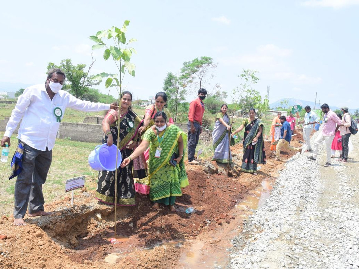 World Environment Day  - Sakshi9