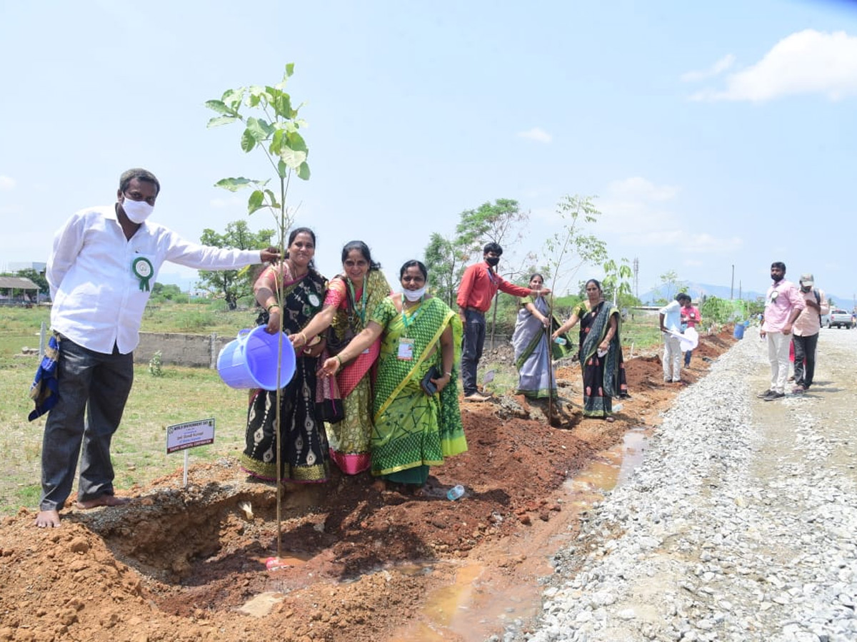 World Environment Day  - Sakshi10