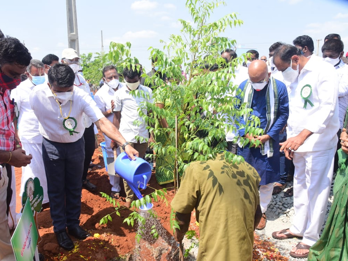 World Environment Day  - Sakshi5