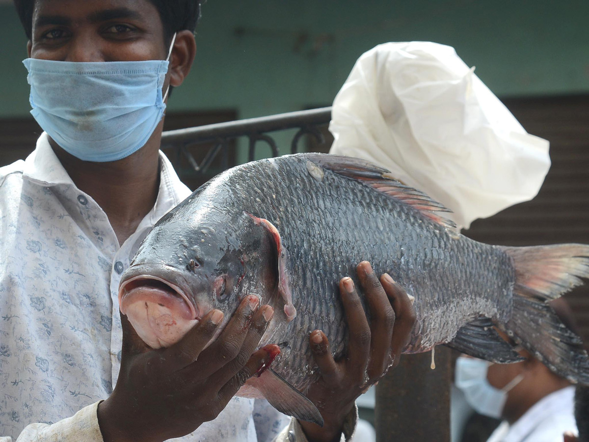 Heavy Crowd Ramnagar Fish Market  - Sakshi4