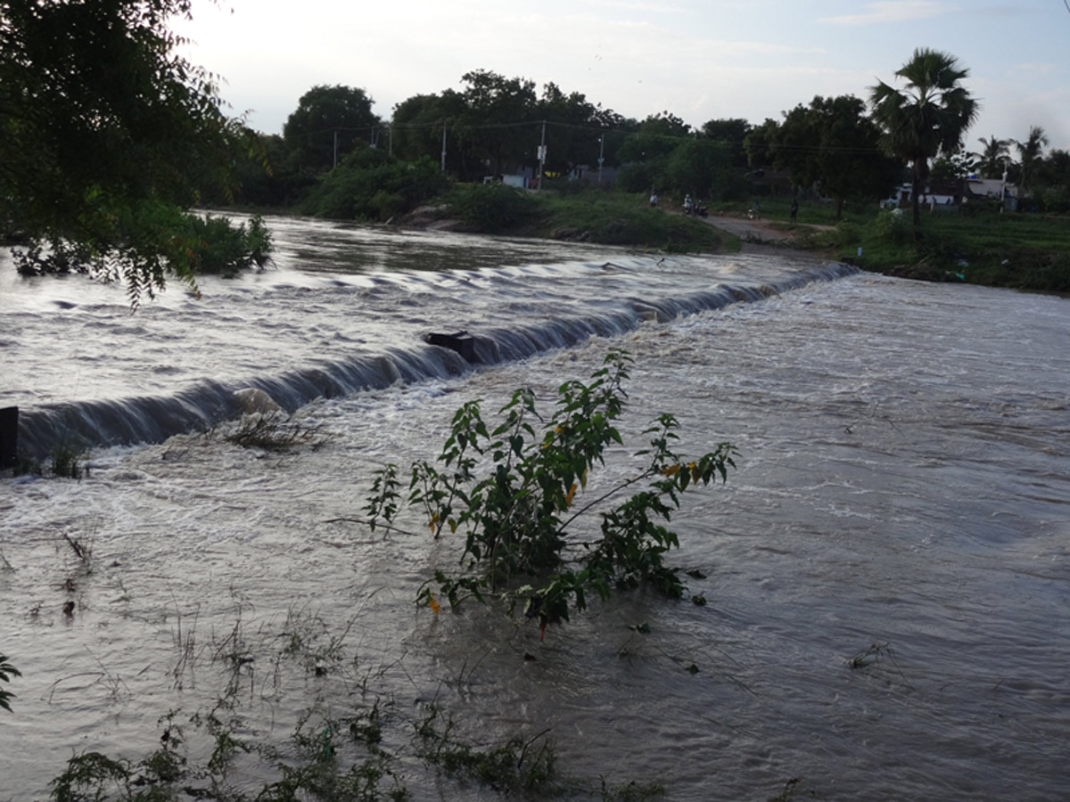 Heavy Rain in Telangana - Sakshi13