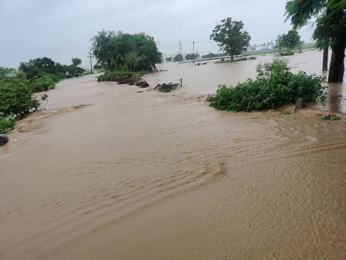 Heavy Rain in Telangana - Sakshi31