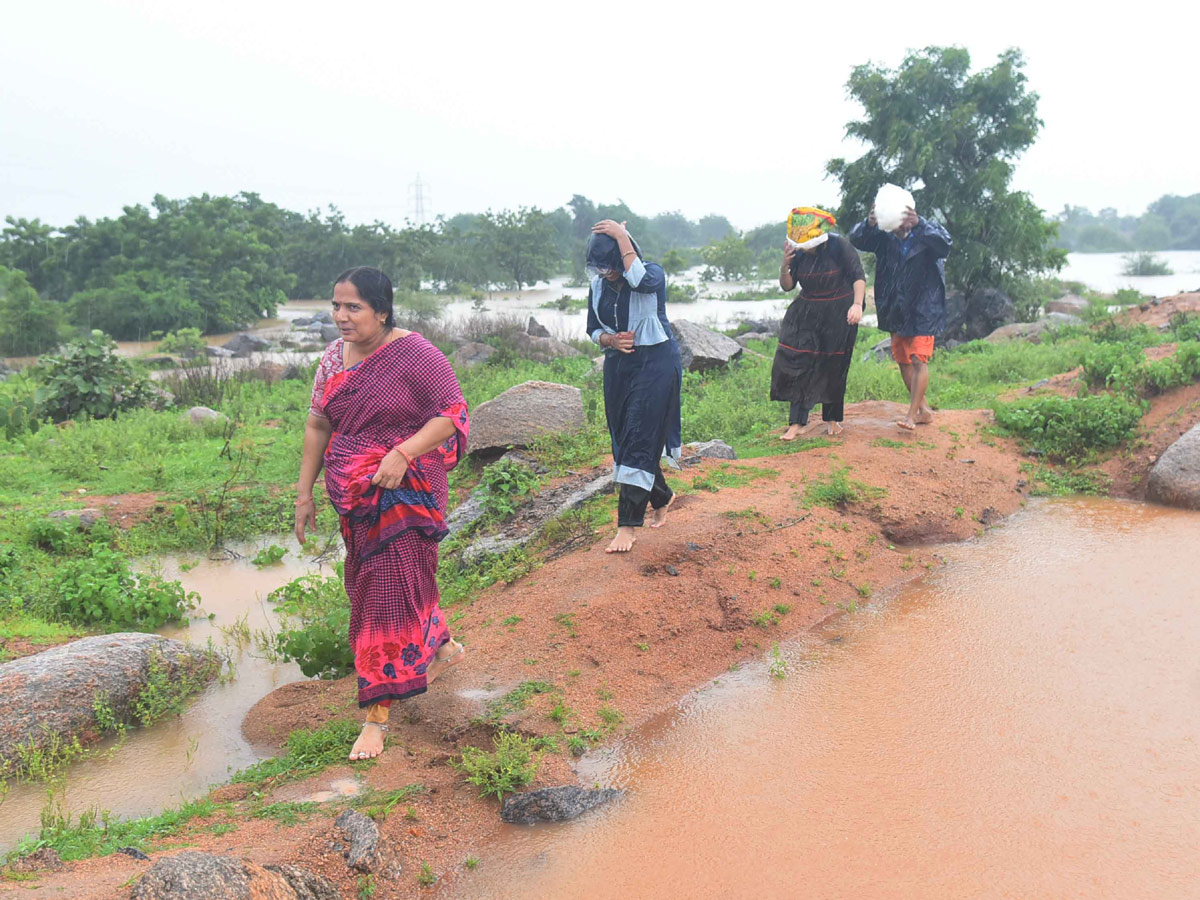 Heavy Rain in Adilabad District Photos - Sakshi24