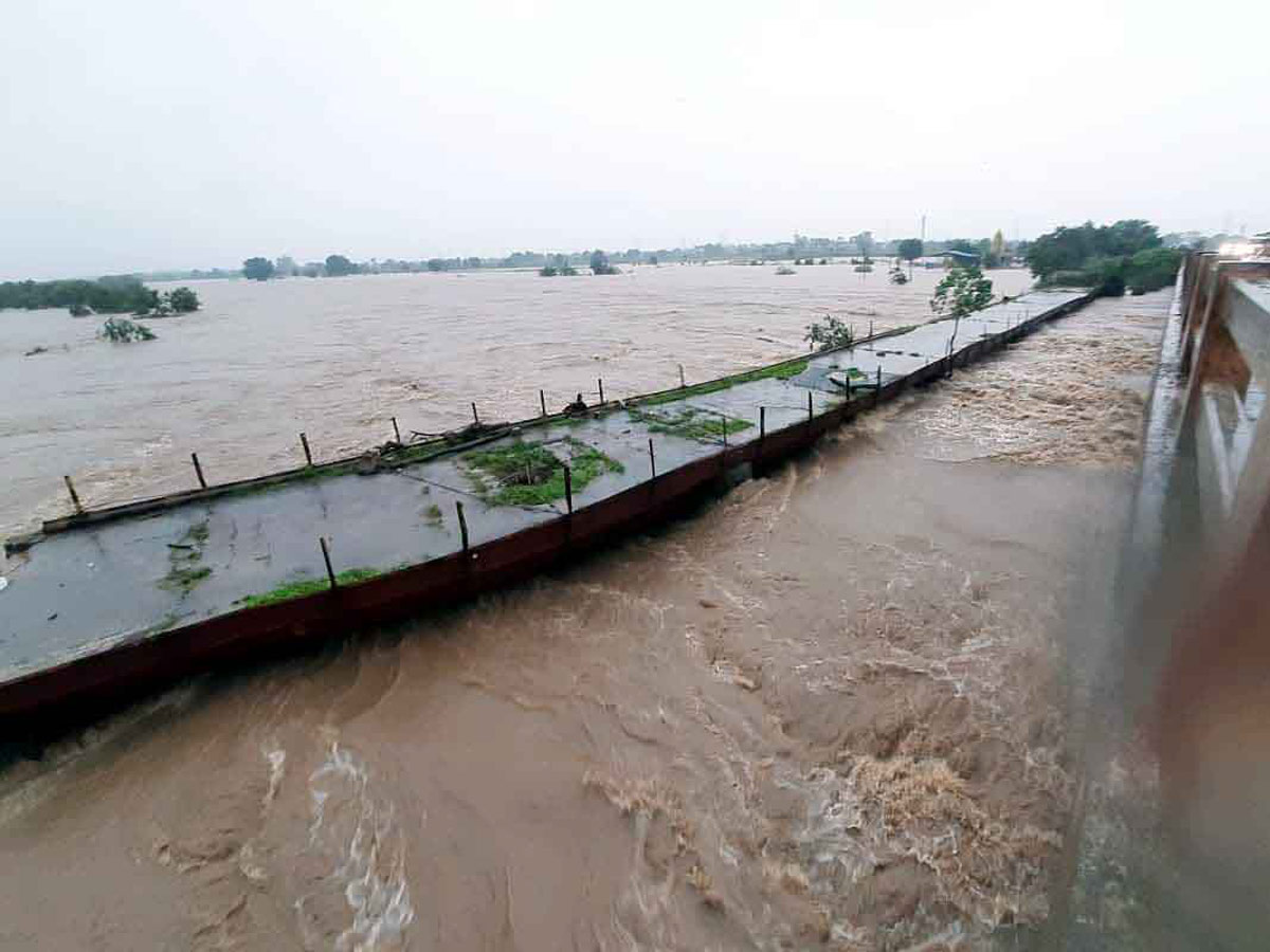 Heavy Rain in Adilabad District Photos - Sakshi10