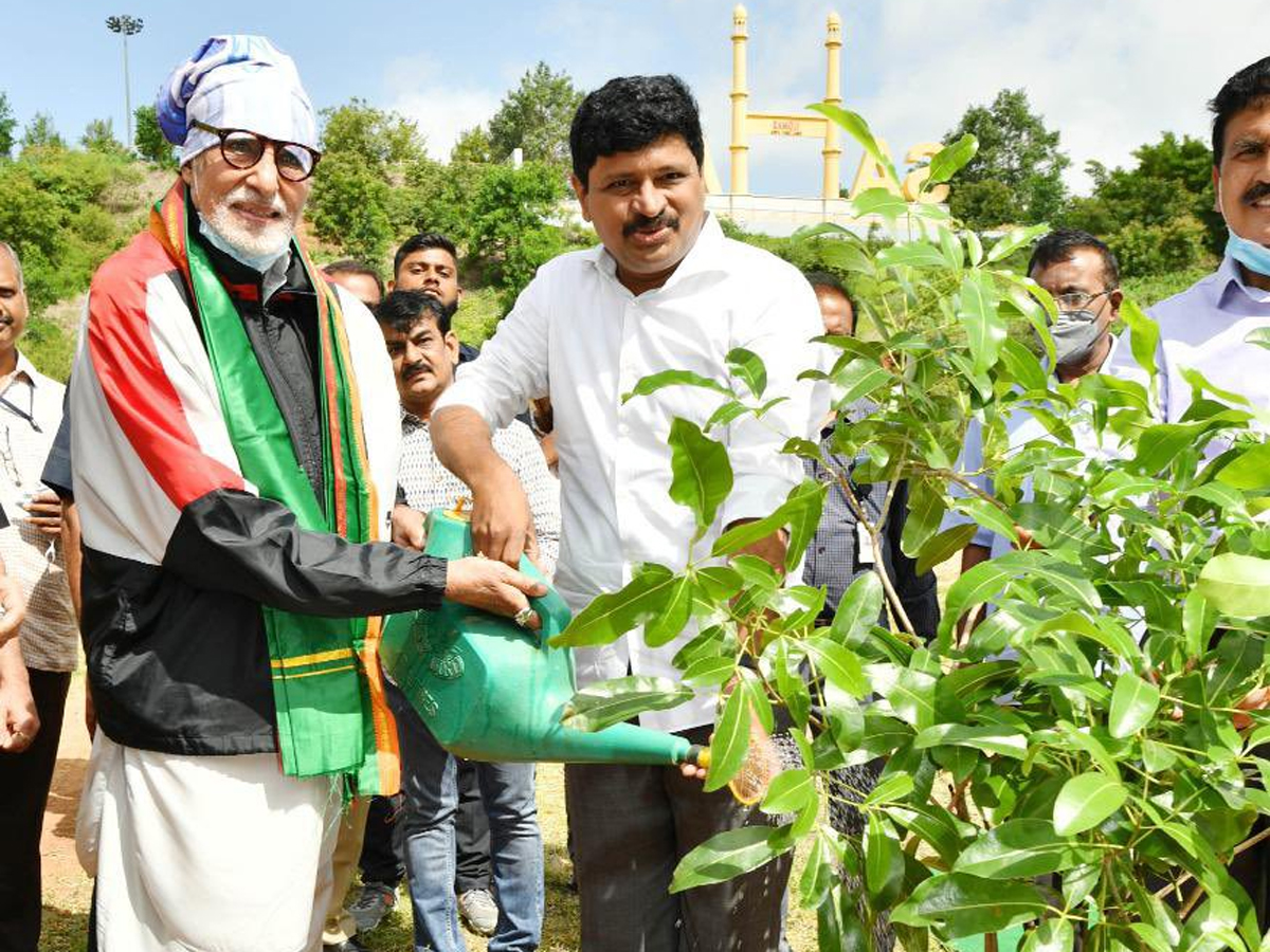 Amitabh Bachchan Join Green India Challenge with Nagarjuna and MP Santhosh Kumar Photo Gallery - Sakshi2