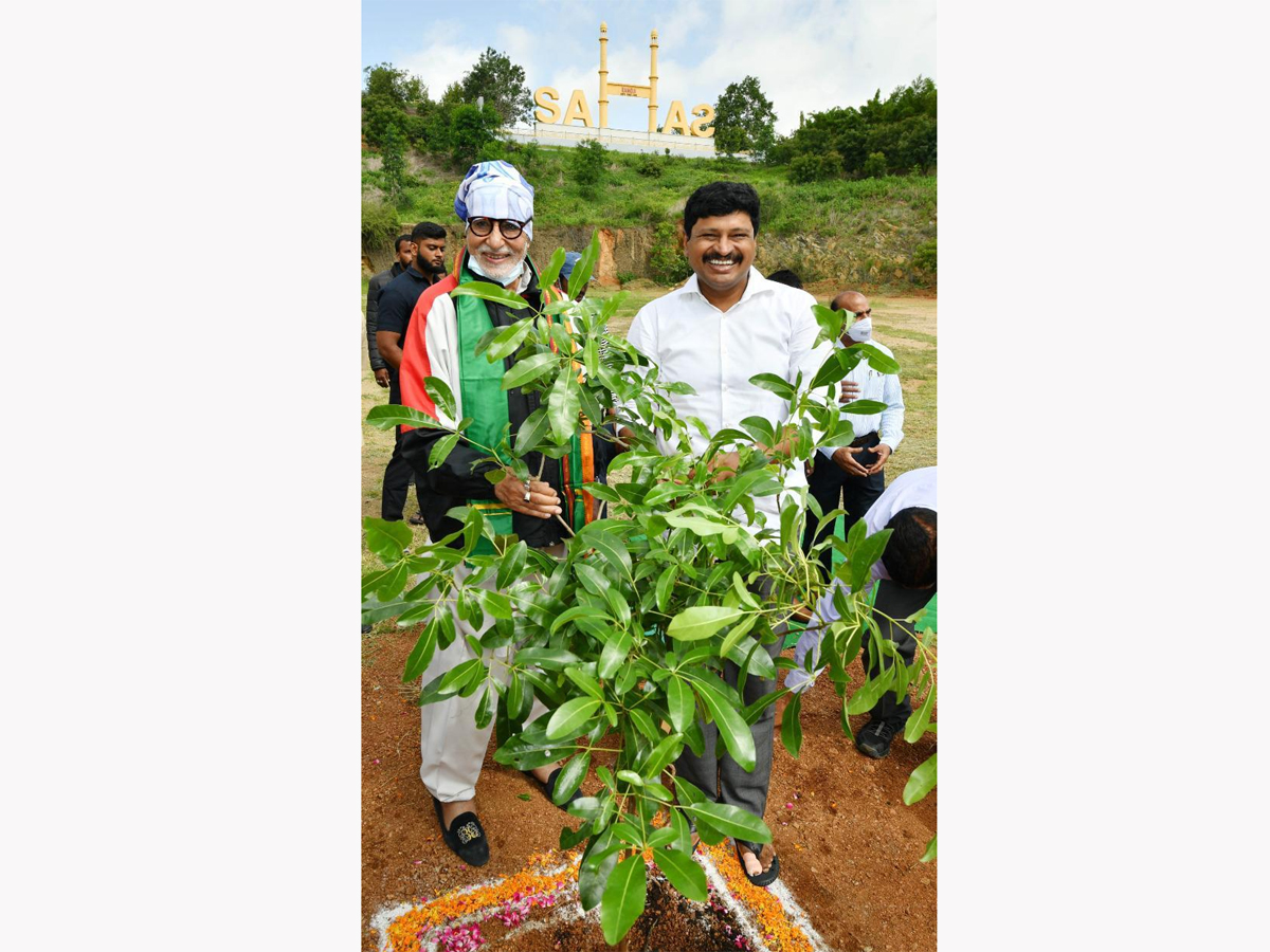 Amitabh Bachchan Join Green India Challenge with Nagarjuna and MP Santhosh Kumar Photo Gallery - Sakshi6