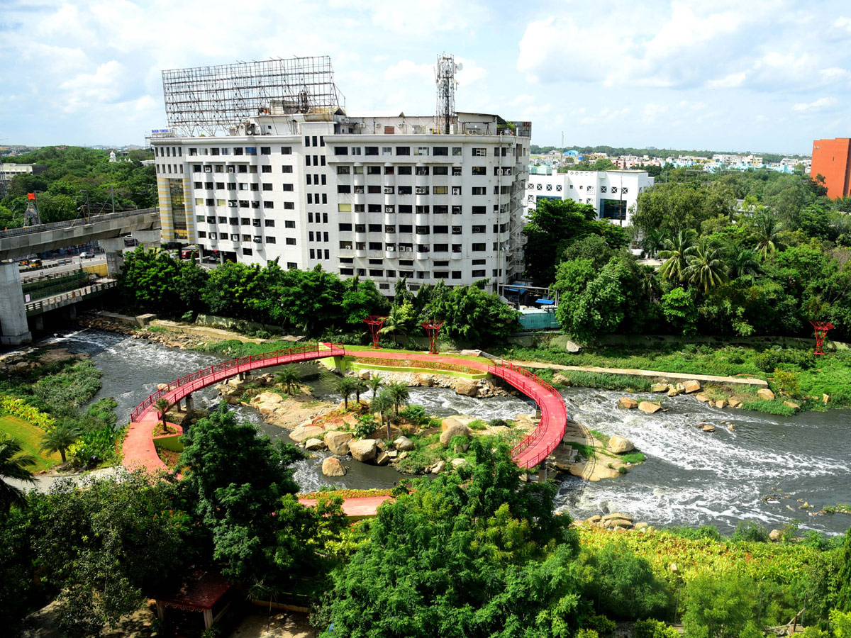 Rain garden at Begumpet Nala turns feast for eye - Sakshi1