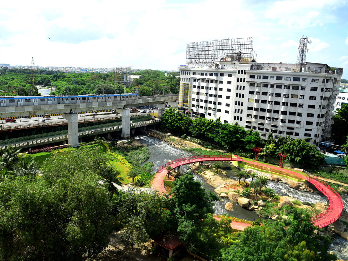 Rain garden at Begumpet Nala turns feast for eye - Sakshi9