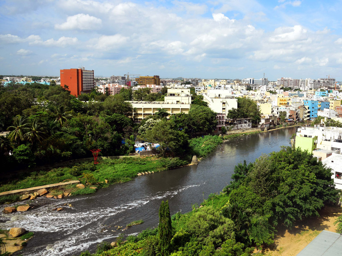 Rain garden at Begumpet Nala turns feast for eye - Sakshi2