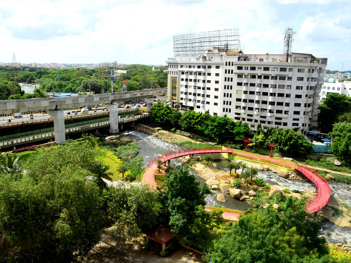 Rain garden at Begumpet Nala turns feast for eye - Sakshi5