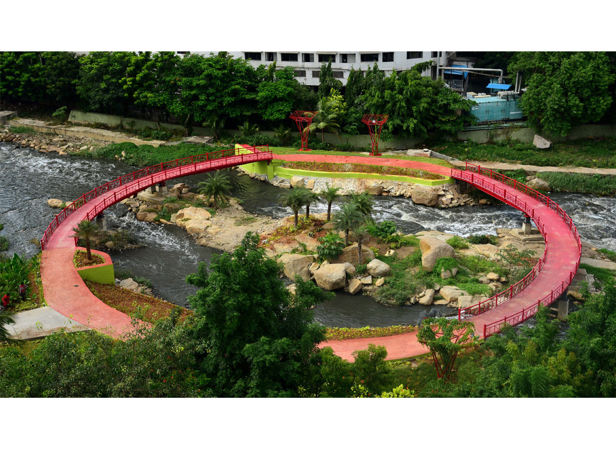 Rain garden at Begumpet Nala turns feast for eye - Sakshi7