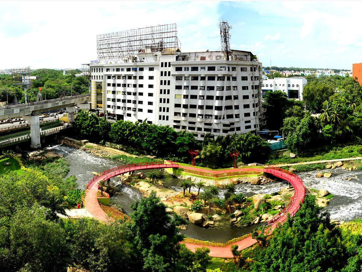 Rain garden at Begumpet Nala turns feast for eye - Sakshi8