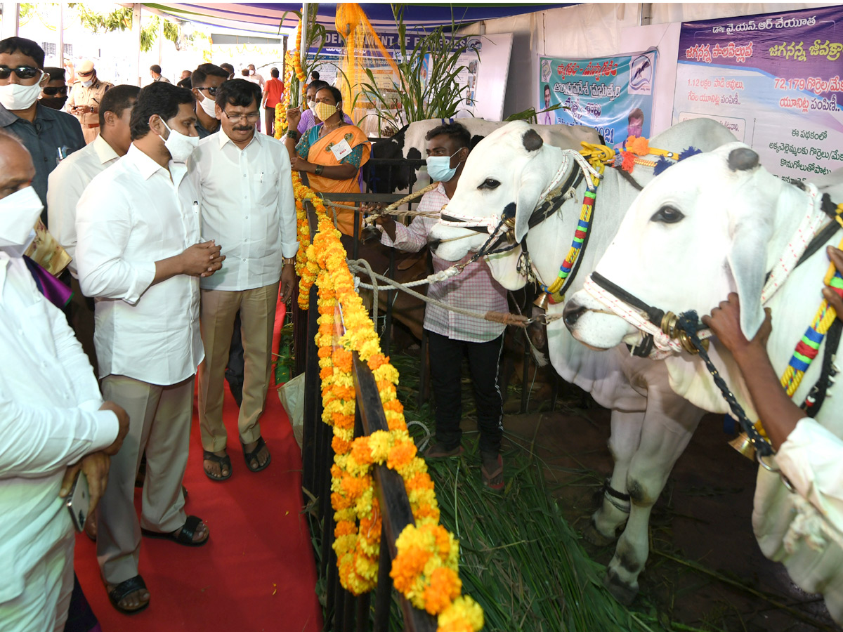 AP CM YS Jagan Raidurgam Tour: Rythu Bharosa Centre Inauguration Special Photos - Sakshi10