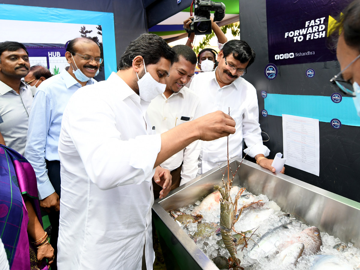 AP CM YS Jagan Raidurgam Tour: Rythu Bharosa Centre Inauguration Special Photos - Sakshi17