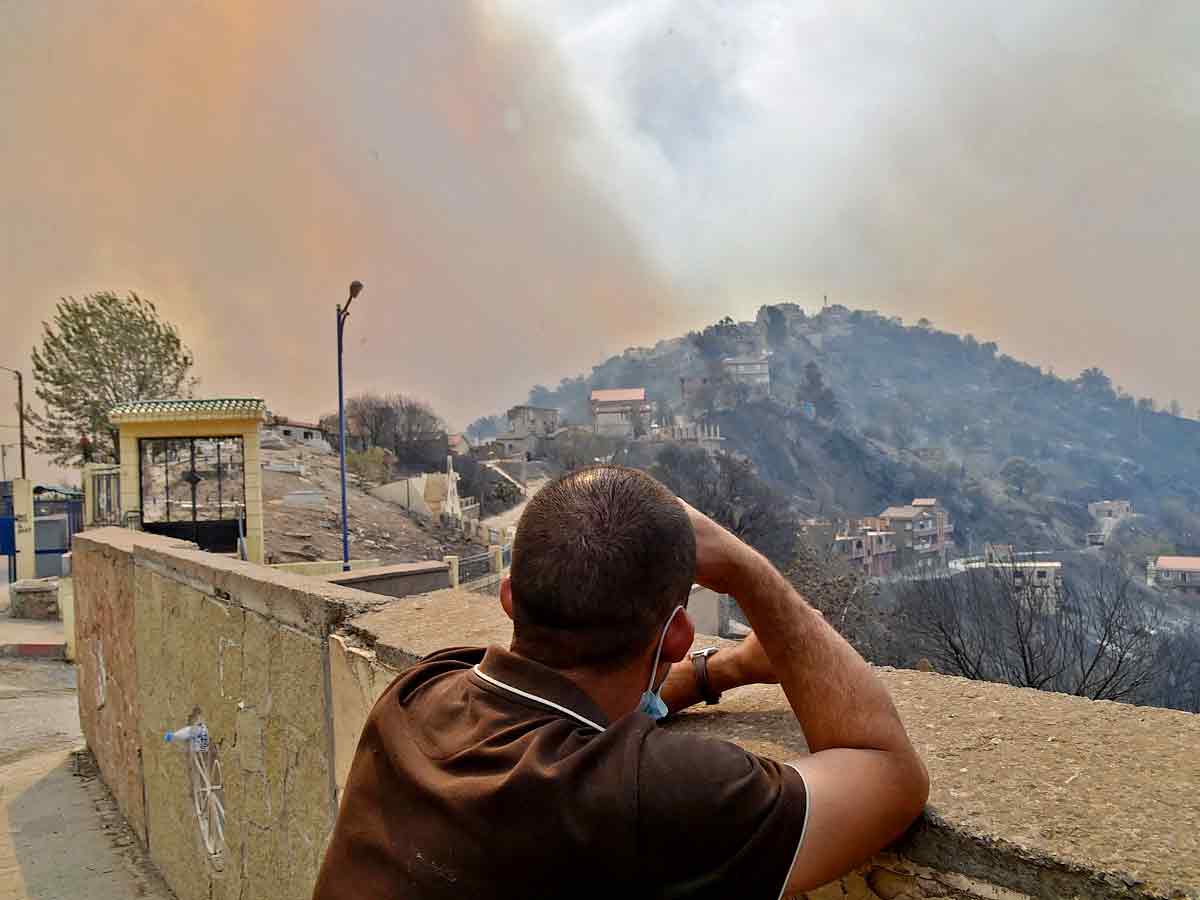 Algeria Wildfires Kill 42 Authorities Blame Arson Photo Gallery - Sakshi11