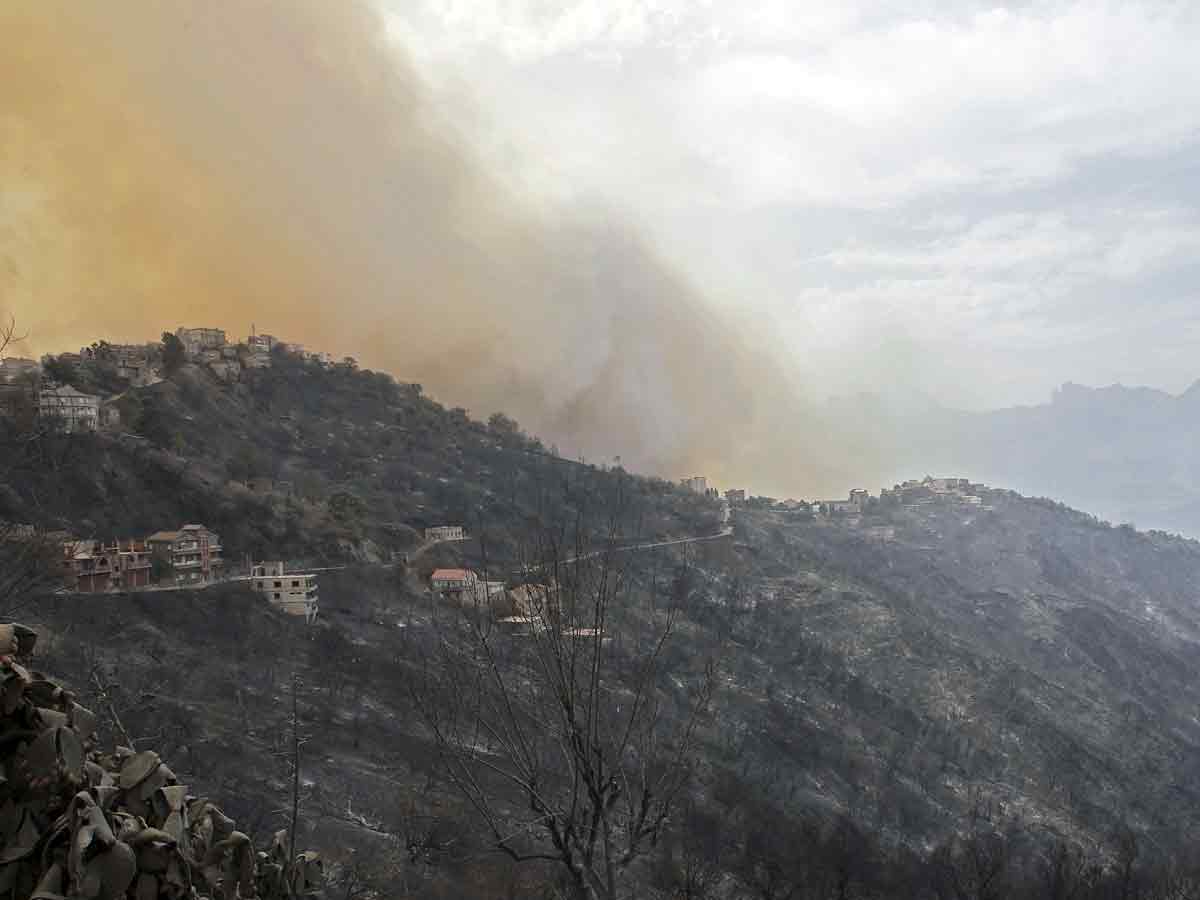 Algeria Wildfires Kill 42 Authorities Blame Arson Photo Gallery - Sakshi14