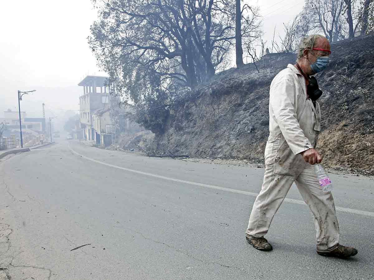 Algeria Wildfires Kill 42 Authorities Blame Arson Photo Gallery - Sakshi15