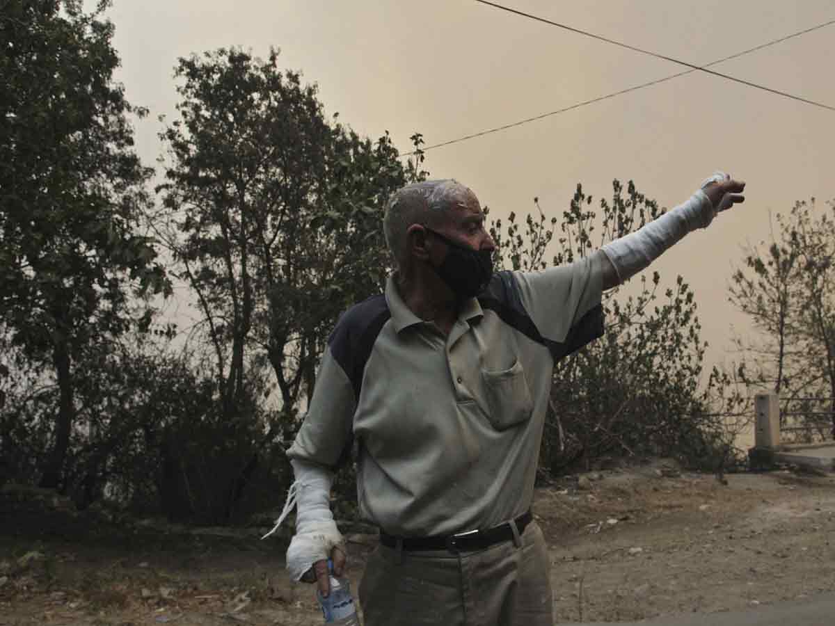 Algeria Wildfires Kill 42 Authorities Blame Arson Photo Gallery - Sakshi16