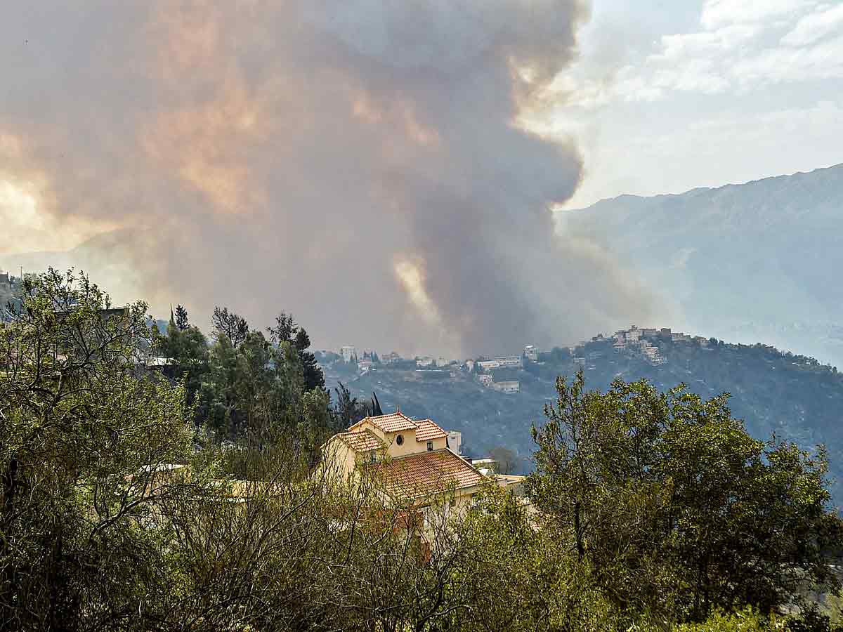 Algeria Wildfires Kill 42 Authorities Blame Arson Photo Gallery - Sakshi19