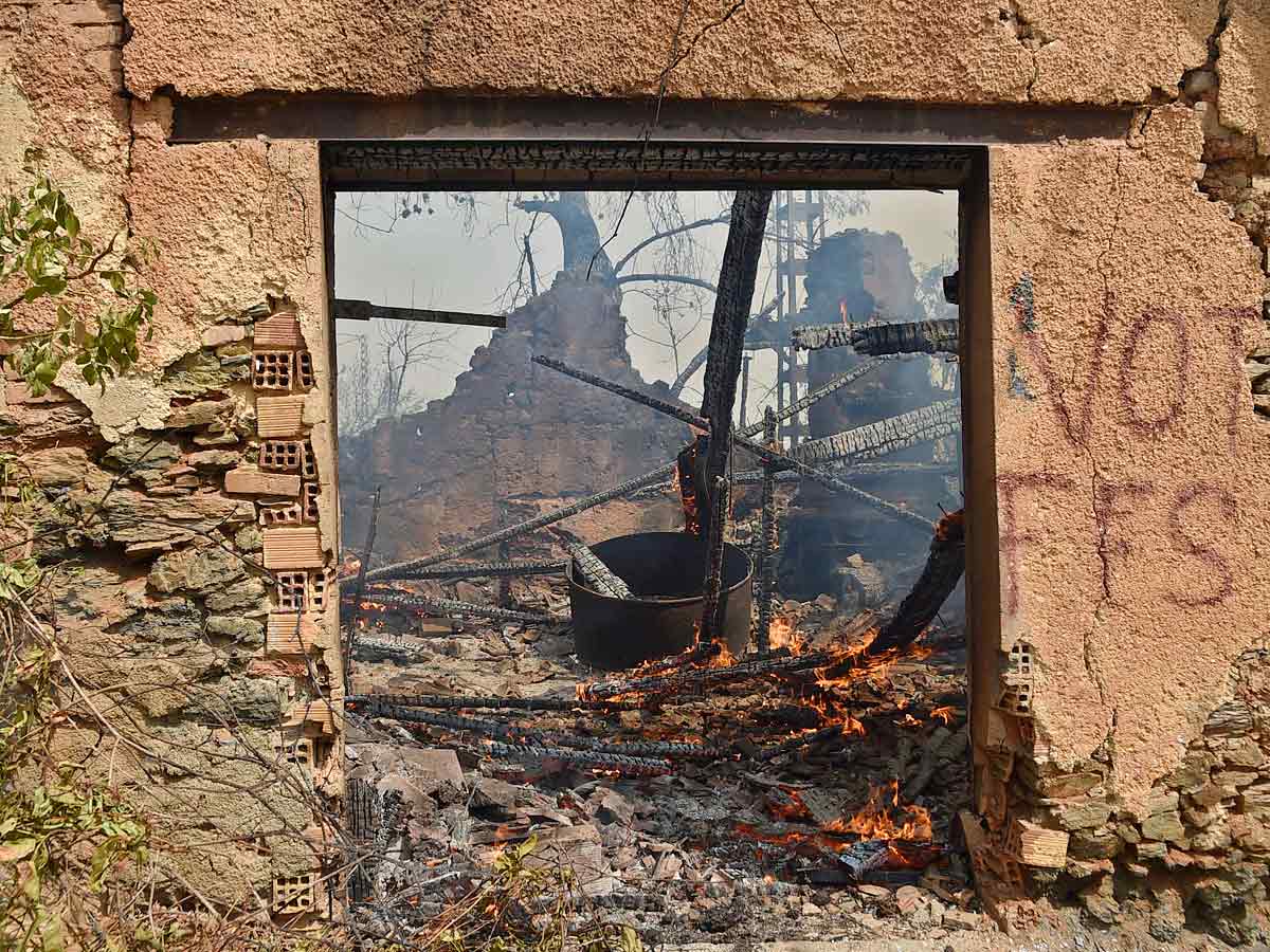 Algeria Wildfires Kill 42 Authorities Blame Arson Photo Gallery - Sakshi5