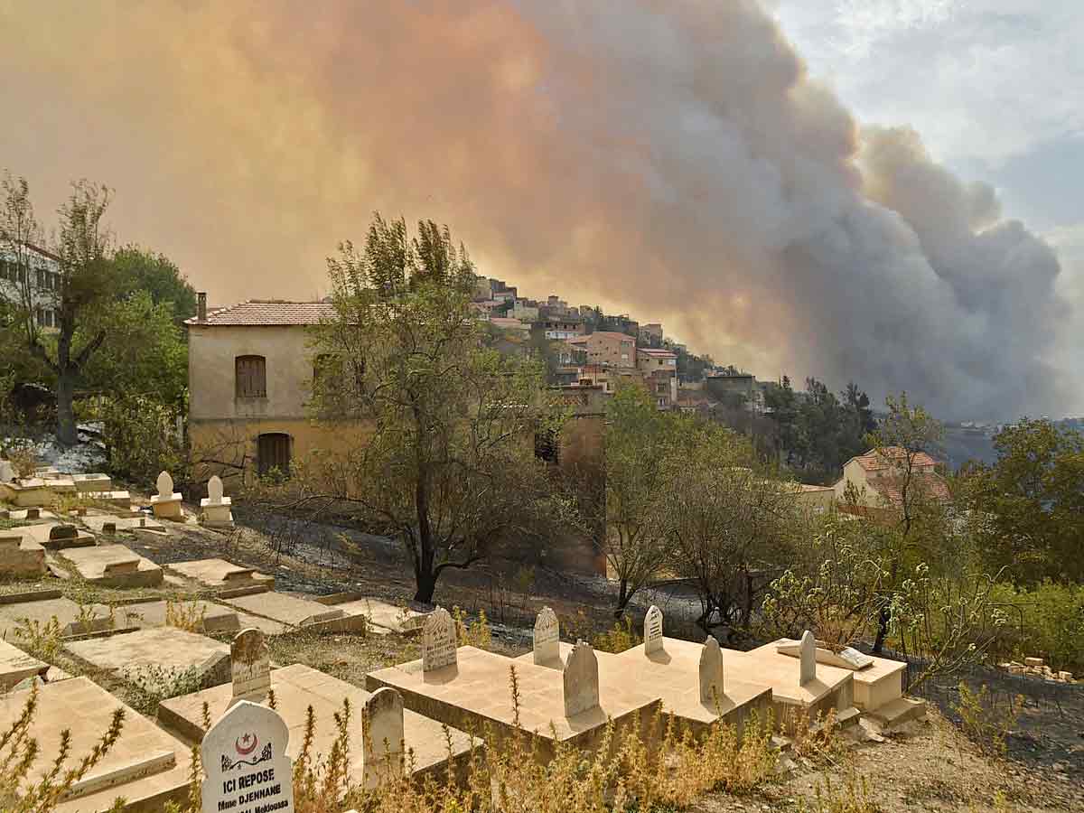 Algeria Wildfires Kill 42 Authorities Blame Arson Photo Gallery - Sakshi9