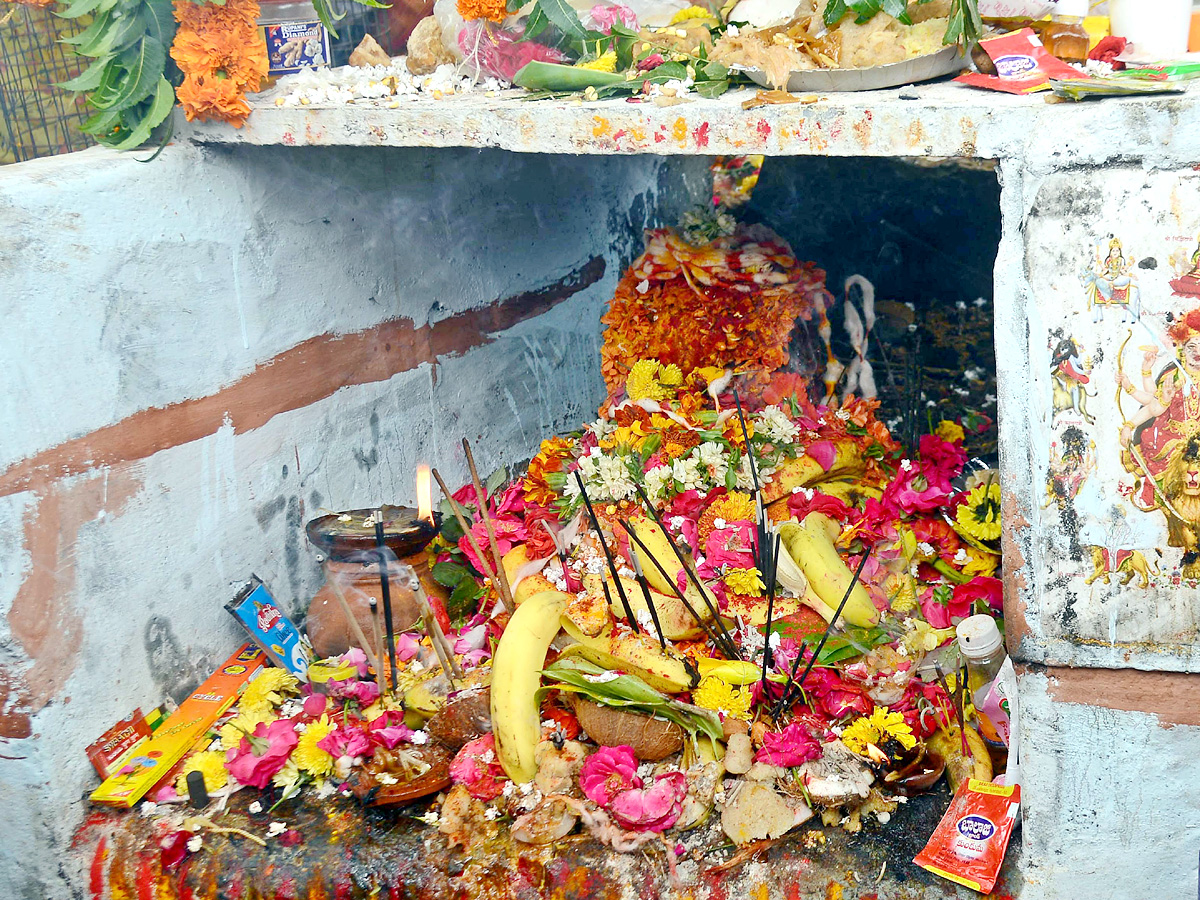 Nag panchami Photos  - Sakshi12