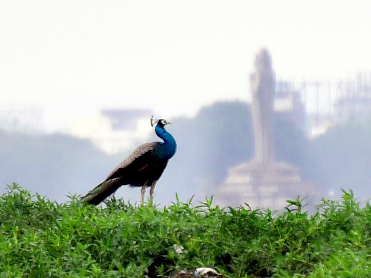 Birla Mandir to Tank Bund Beautiful Photo Gallery - Sakshi5