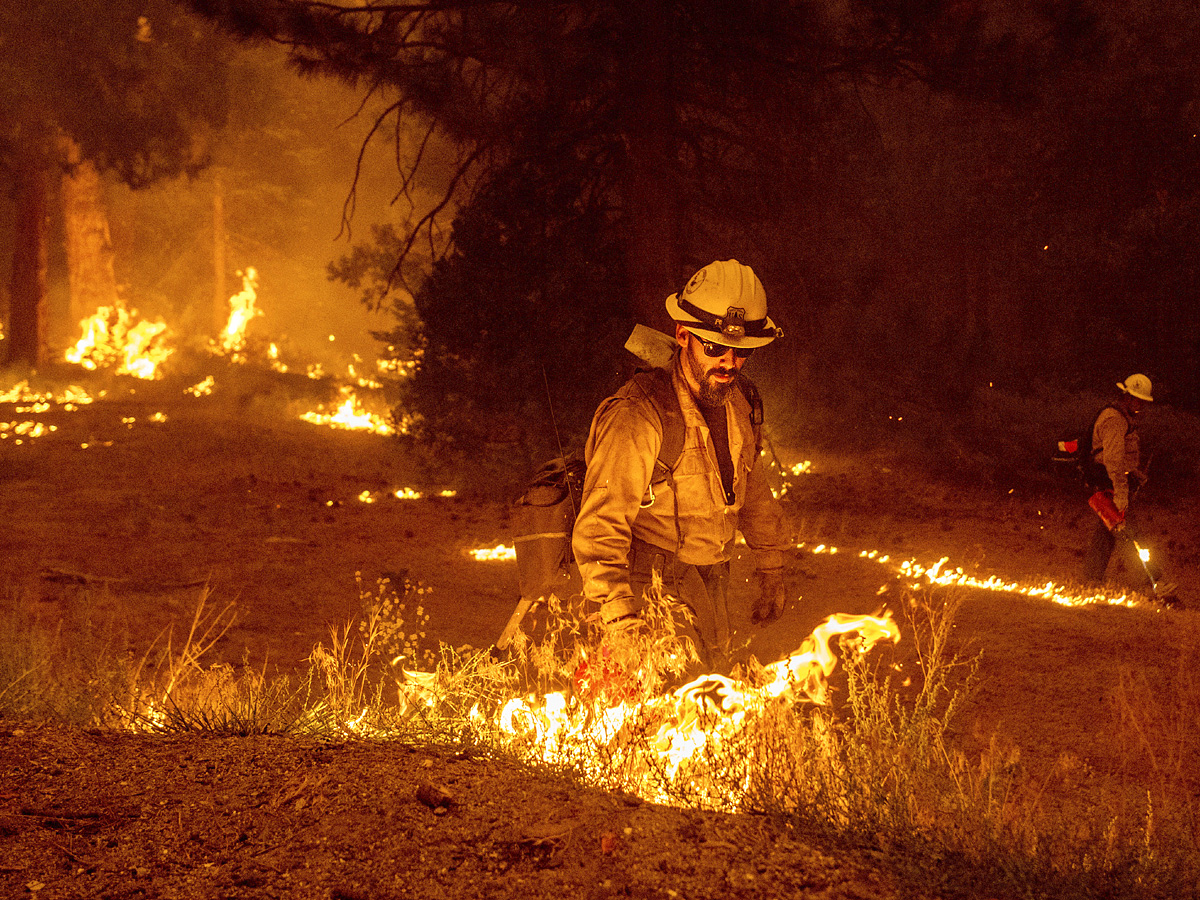 California Wildfires Photo Gallery - Sakshi3