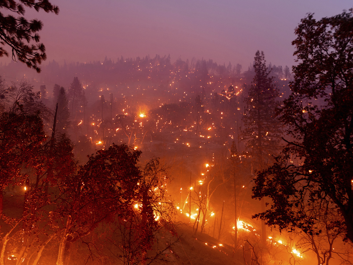 California Wildfires Photo Gallery - Sakshi4