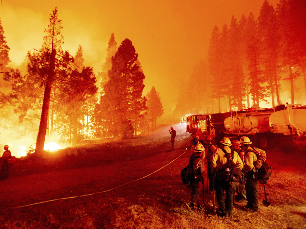 California Wildfires Photo Gallery - Sakshi5