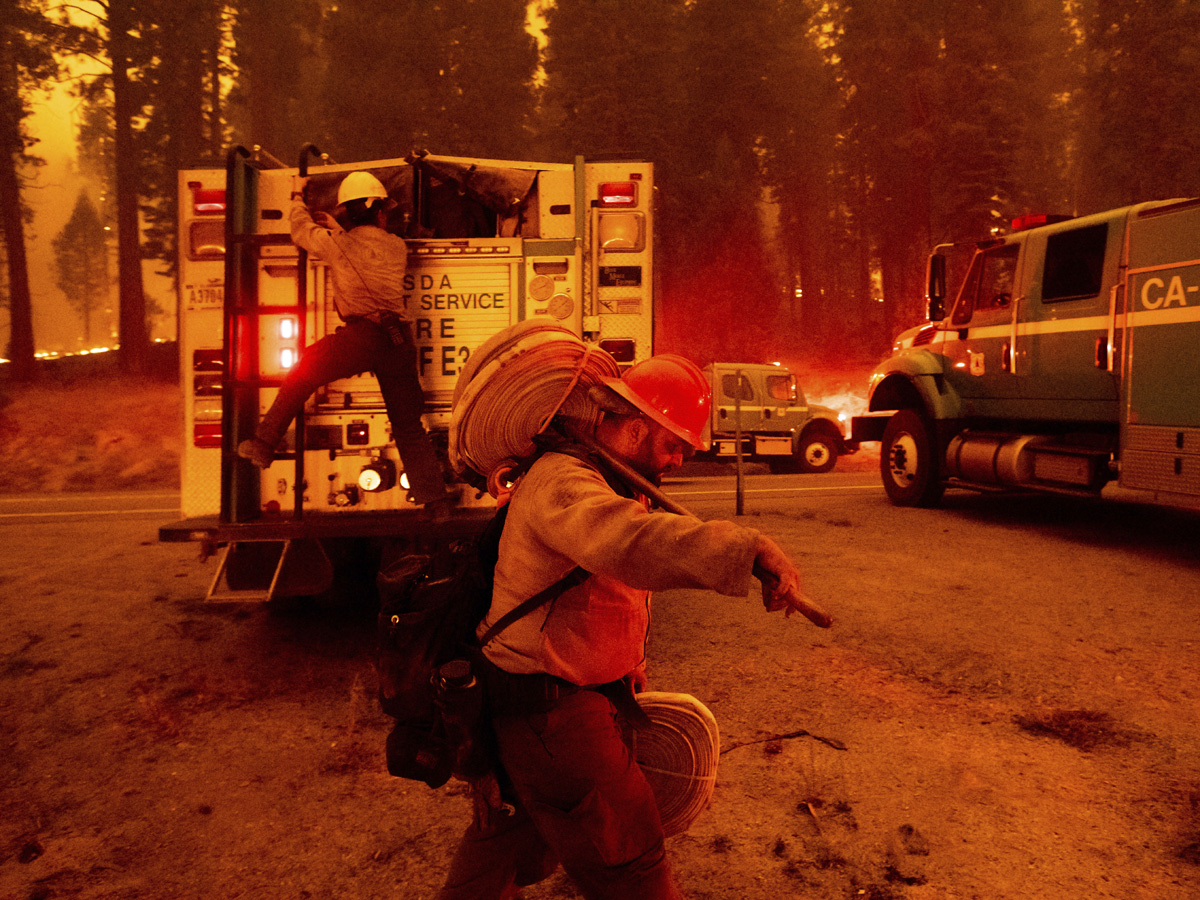 California Wildfires Photo Gallery - Sakshi6