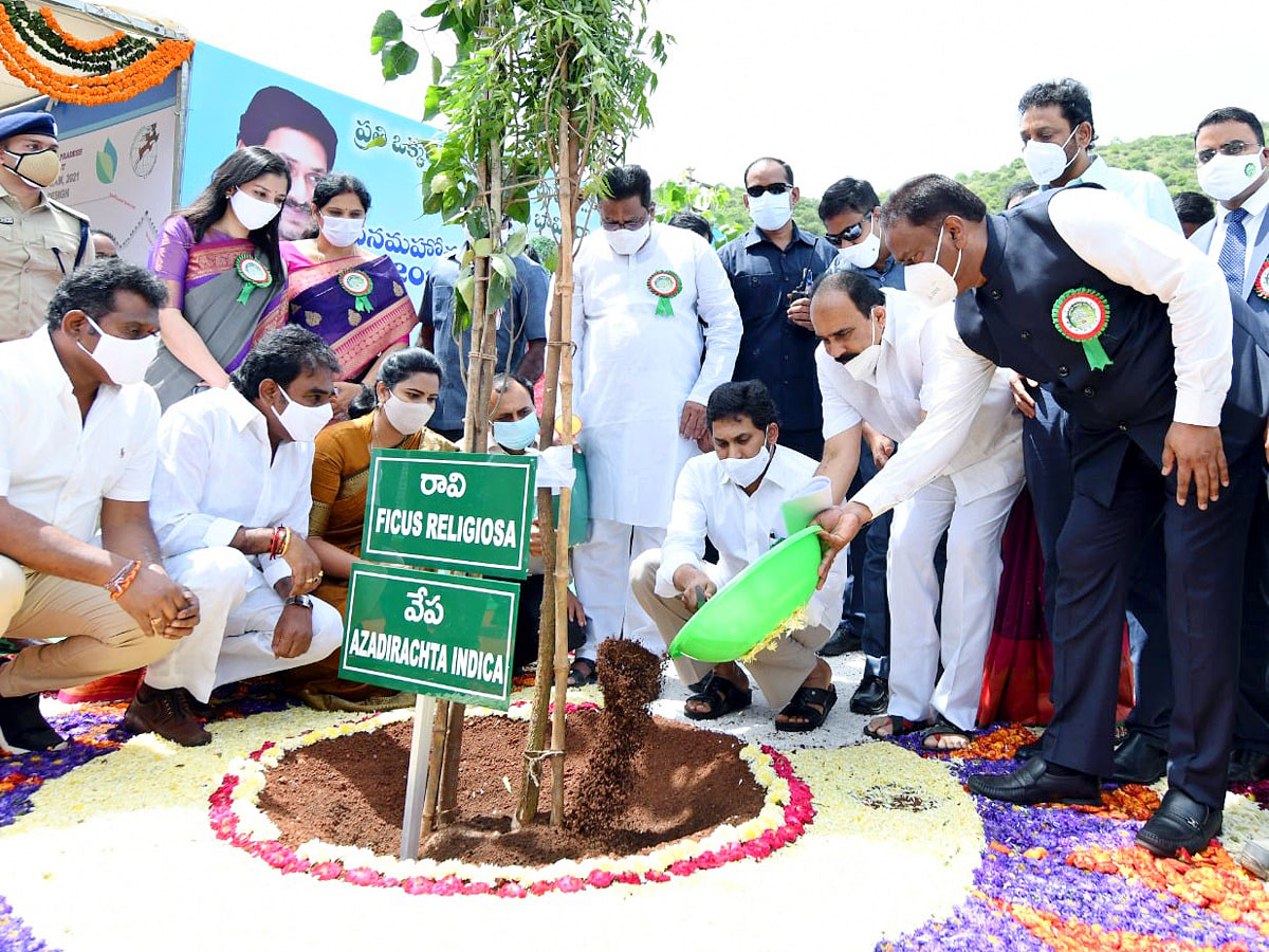 CM YS Jagan Inaugurates Vana Mahotsavam 2021 In Mangalagiri Photo Gallery - Sakshi1