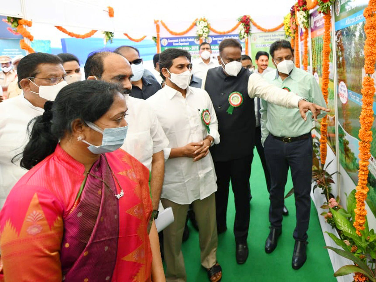 CM YS Jagan Inaugurates Vana Mahotsavam 2021 In Mangalagiri Photo Gallery - Sakshi10