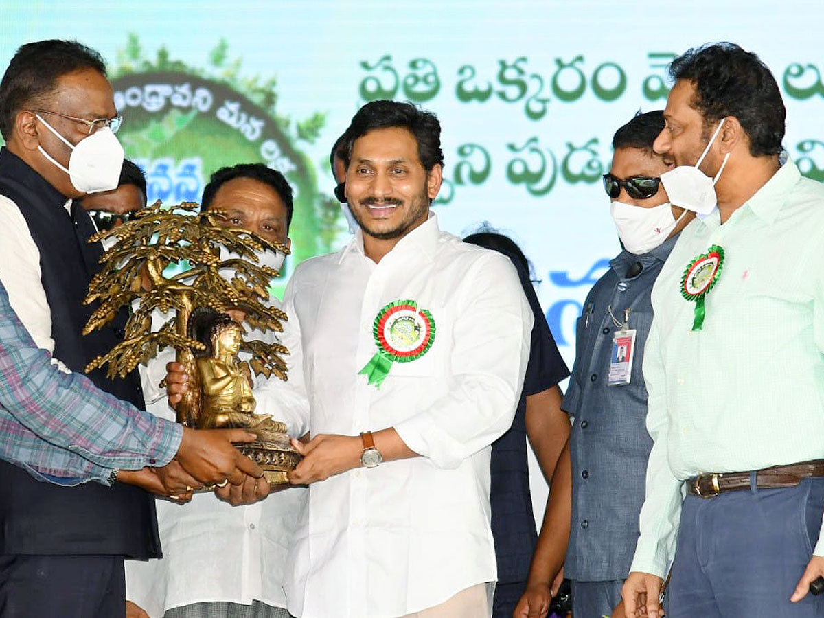 CM YS Jagan Inaugurates Vana Mahotsavam 2021 In Mangalagiri Photo Gallery - Sakshi12