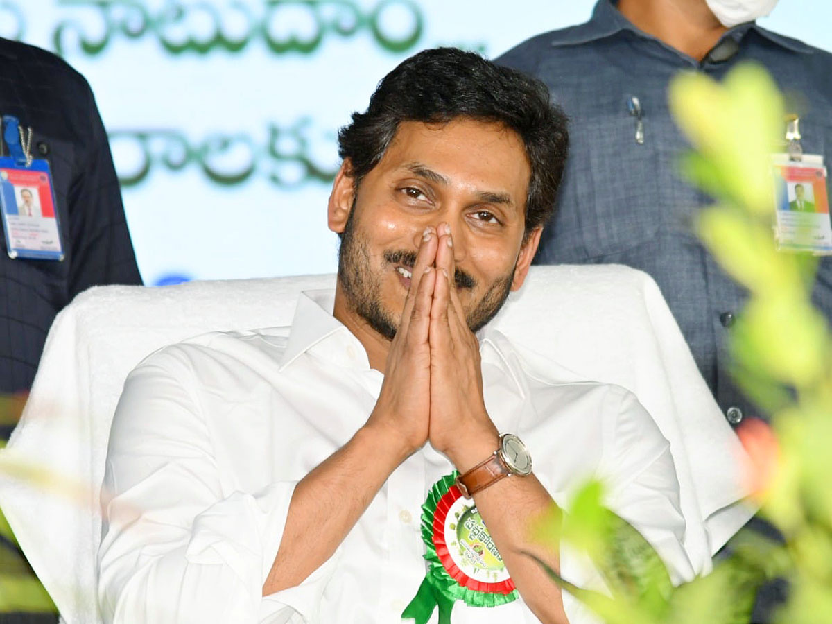 CM YS Jagan Inaugurates Vana Mahotsavam 2021 In Mangalagiri Photo Gallery - Sakshi13