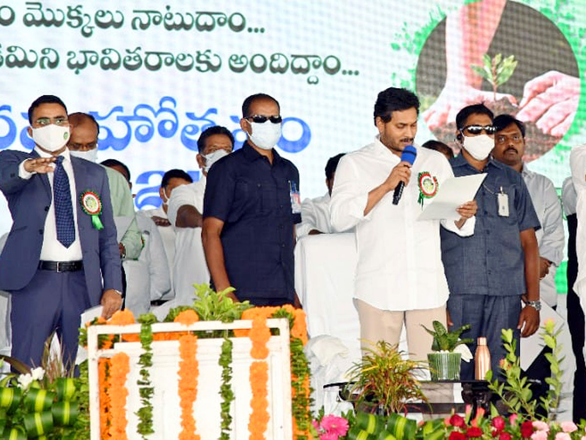 CM YS Jagan Inaugurates Vana Mahotsavam 2021 In Mangalagiri Photo Gallery - Sakshi14