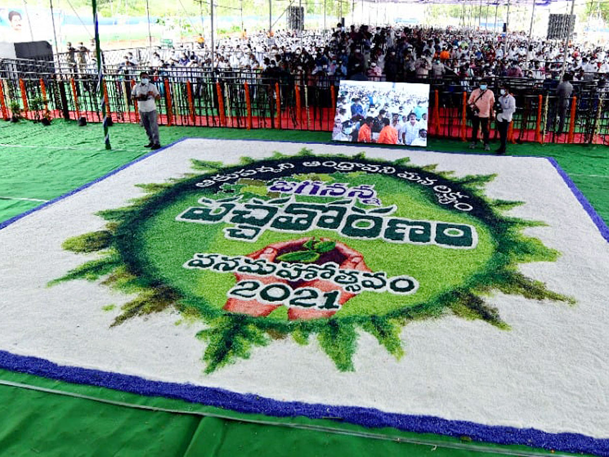 CM YS Jagan Inaugurates Vana Mahotsavam 2021 In Mangalagiri Photo Gallery - Sakshi15