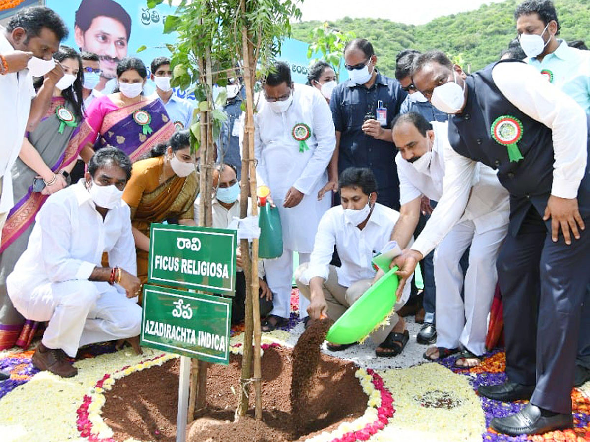 CM YS Jagan Inaugurates Vana Mahotsavam 2021 In Mangalagiri Photo Gallery - Sakshi2