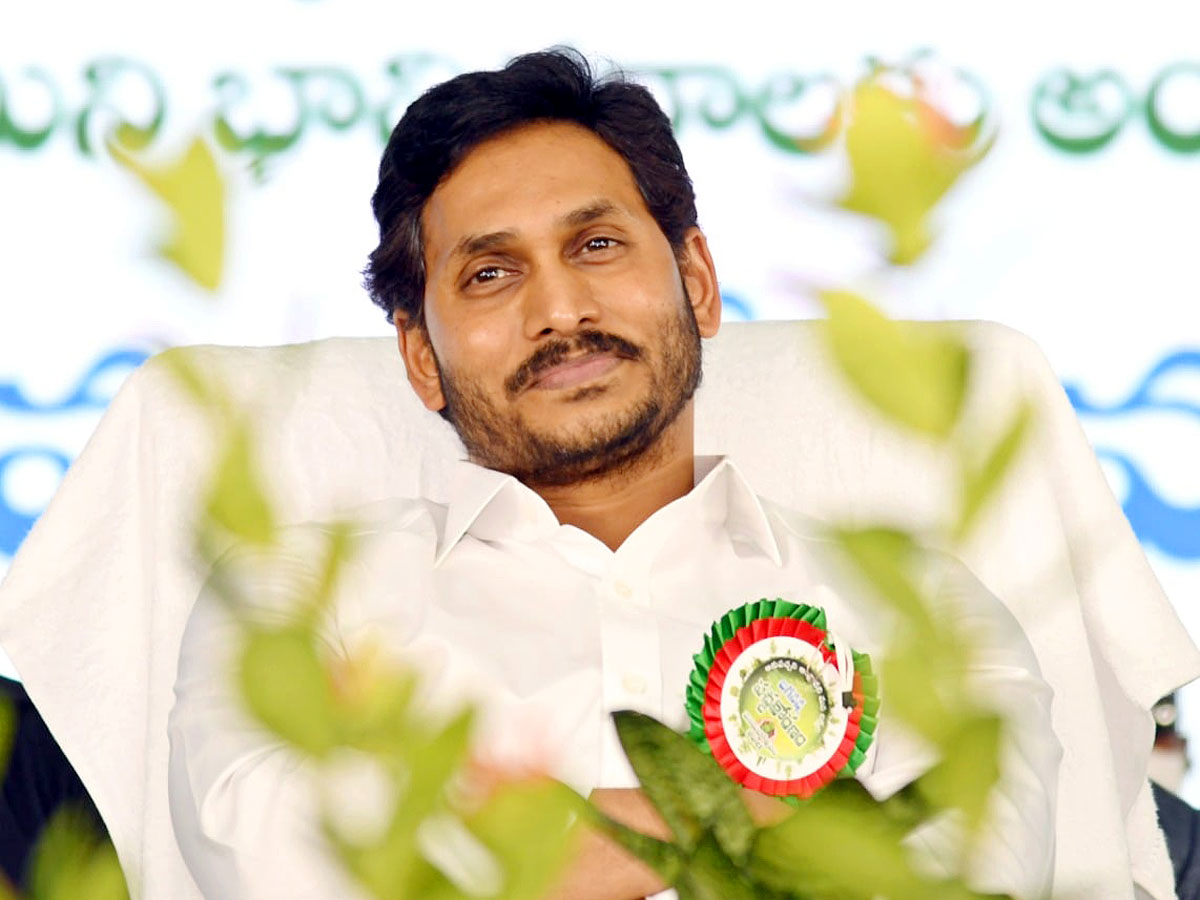 CM YS Jagan Inaugurates Vana Mahotsavam 2021 In Mangalagiri Photo Gallery - Sakshi17