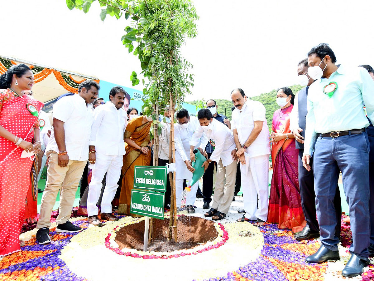 CM YS Jagan Inaugurates Vana Mahotsavam 2021 In Mangalagiri Photo Gallery - Sakshi20