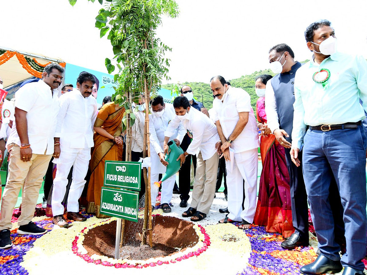 CM YS Jagan Inaugurates Vana Mahotsavam 2021 In Mangalagiri Photo Gallery - Sakshi21