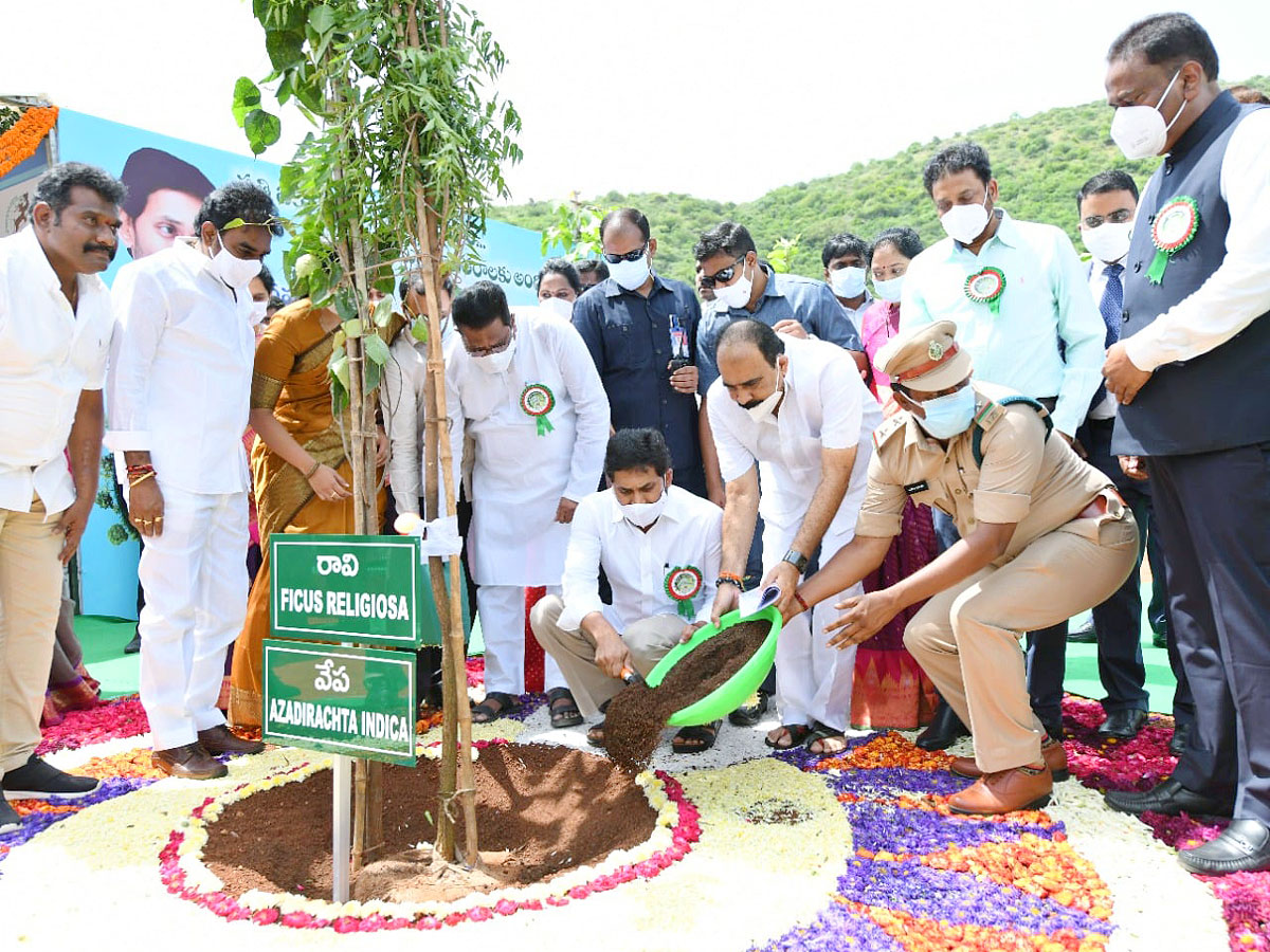 CM YS Jagan Inaugurates Vana Mahotsavam 2021 In Mangalagiri Photo Gallery - Sakshi3