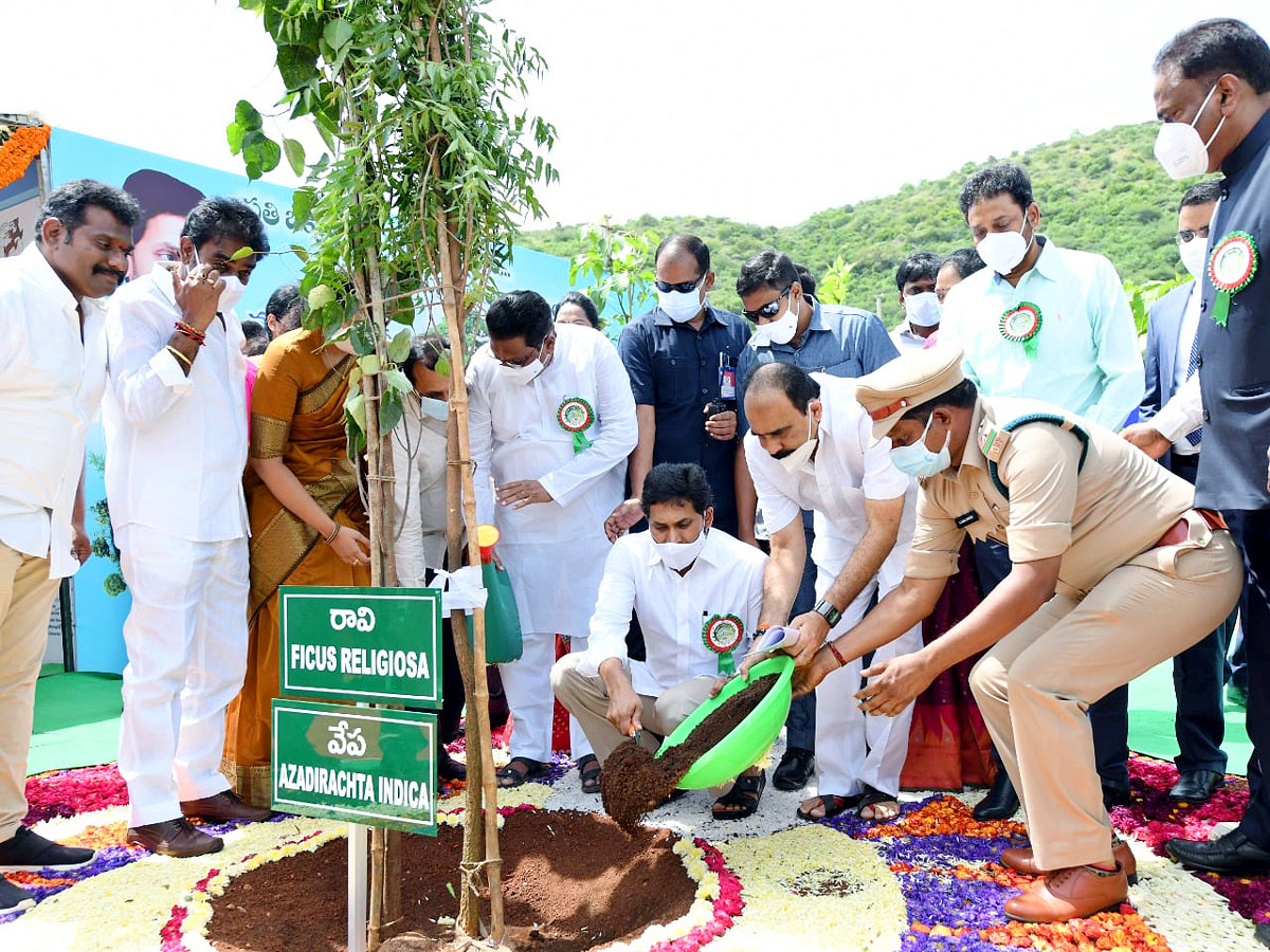 CM YS Jagan Inaugurates Vana Mahotsavam 2021 In Mangalagiri Photo Gallery - Sakshi4