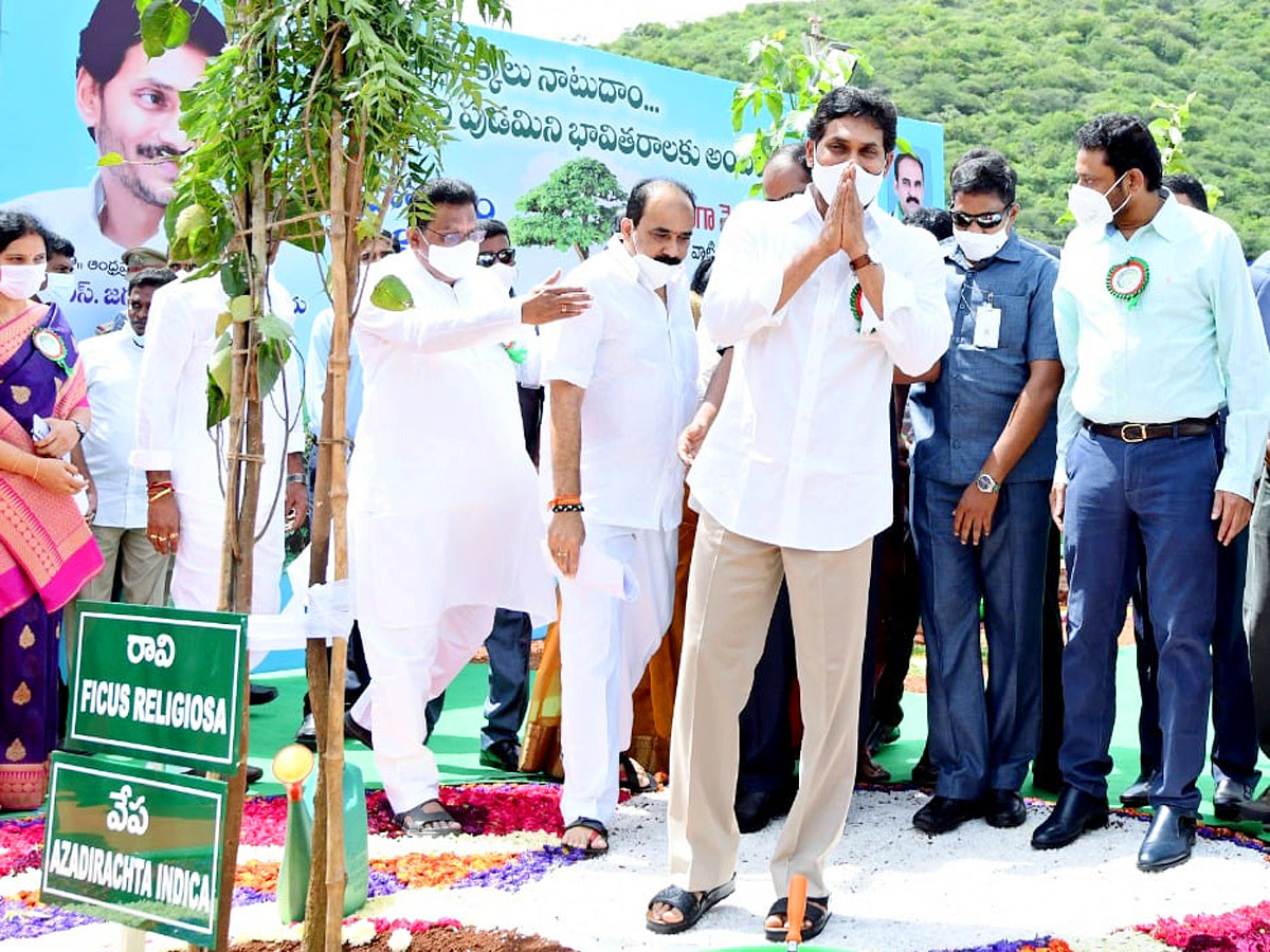 CM YS Jagan Inaugurates Vana Mahotsavam 2021 In Mangalagiri Photo Gallery - Sakshi5