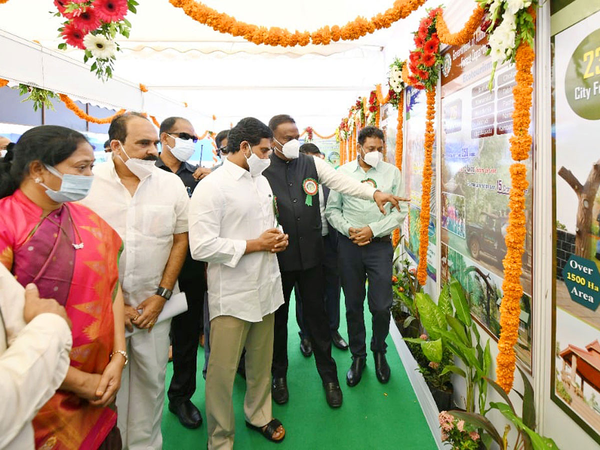 CM YS Jagan Inaugurates Vana Mahotsavam 2021 In Mangalagiri Photo Gallery - Sakshi6